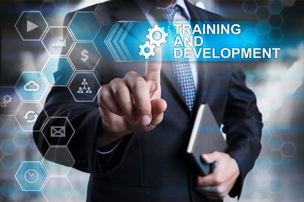 Training and Development