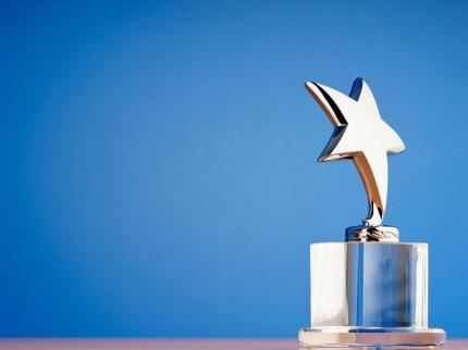 Image of a silver award star trophy