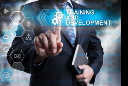 Training and Development