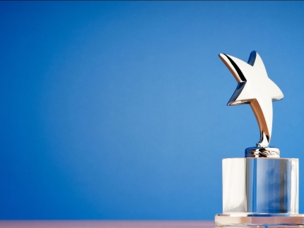 MR Excellence Award
